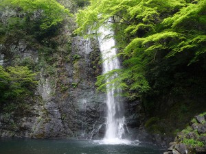琵琶の滝(夏)