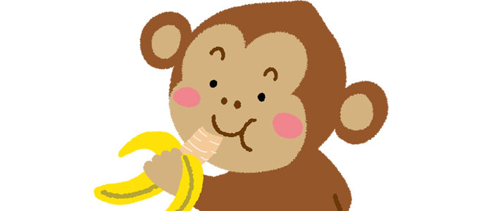 バナナを食べるお猿